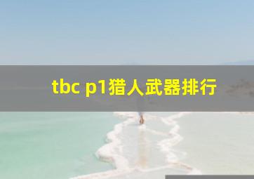 tbc p1猎人武器排行